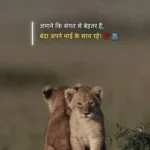 Two brothers are sporting each other like loin
