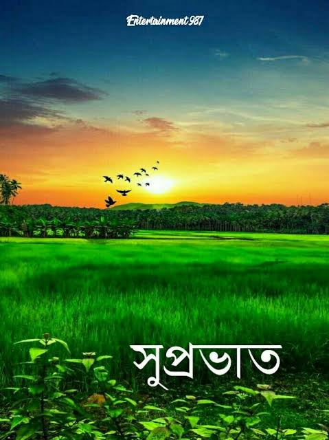 Bengali Good Morning Quotes with a scenic mountain landscape at dawn