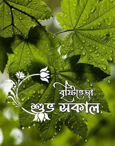 Bengali Good Morning Quotes with fresh green leaves in soft morning light