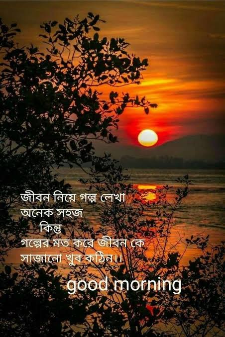 Bengali Good Morning Quotes with warm sunlight shining through trees