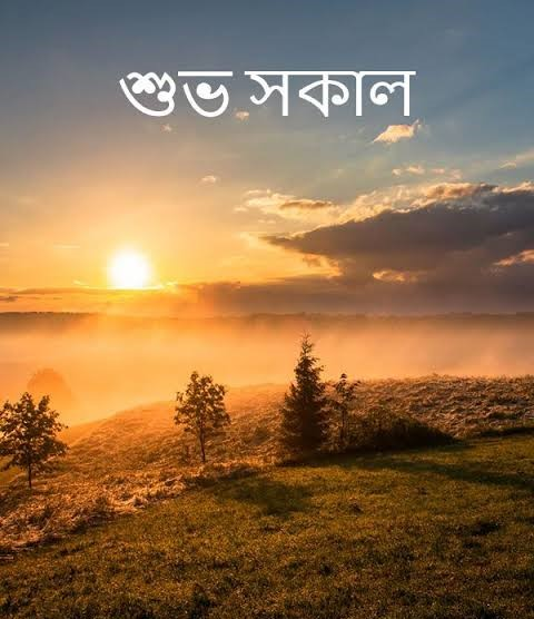 Bengali Good Morning Quotes with sunlight across a quiet natural landscape