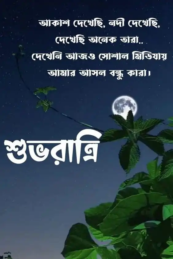 Bengali Good Night Quotes beside a full moon in a calm night sky