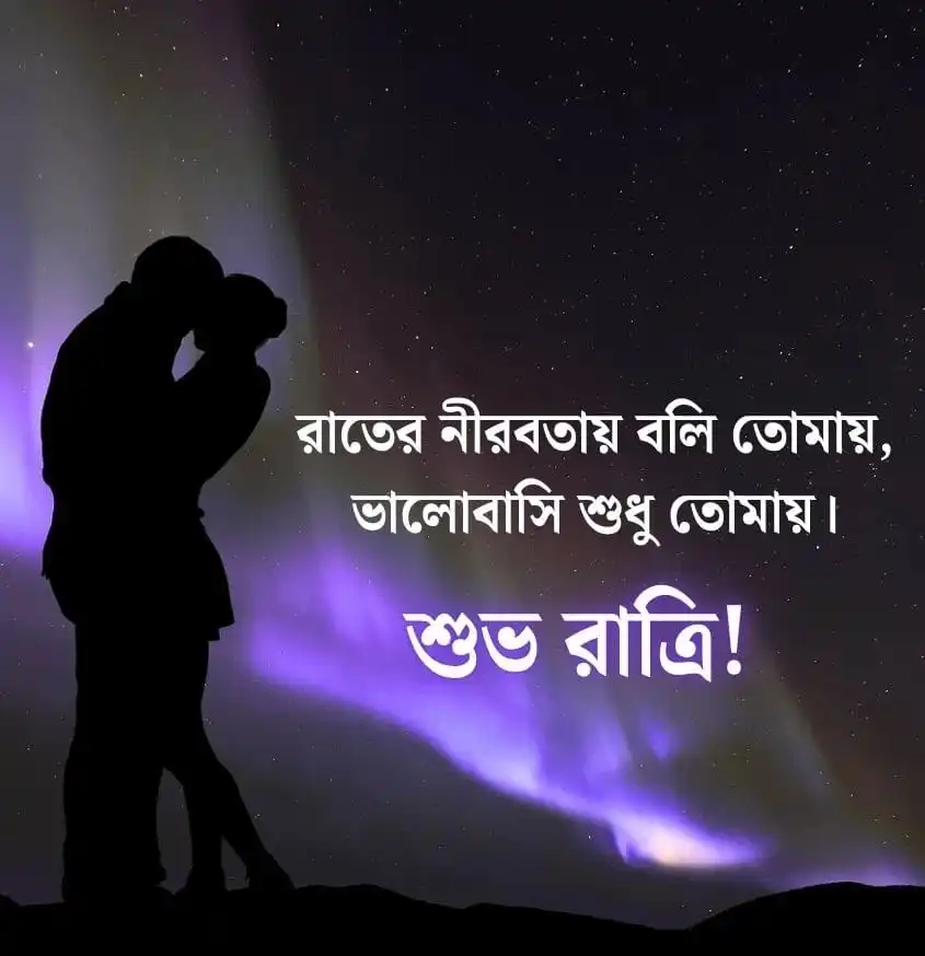 Bengali Good Night Quotes for a romantic couple under moonlight
