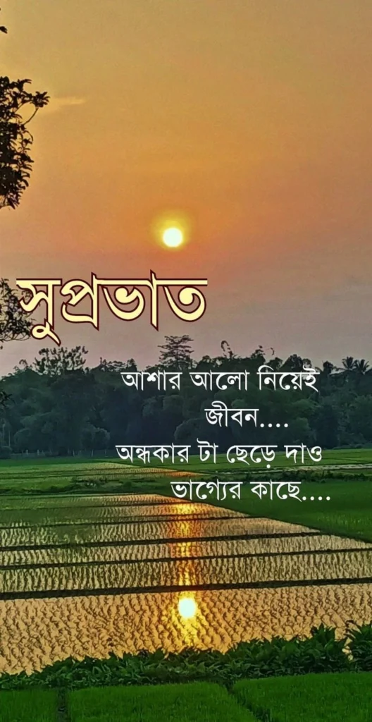 Bengali Motivational Quotes sunrise over a quiet road with hopeful atmosphere
