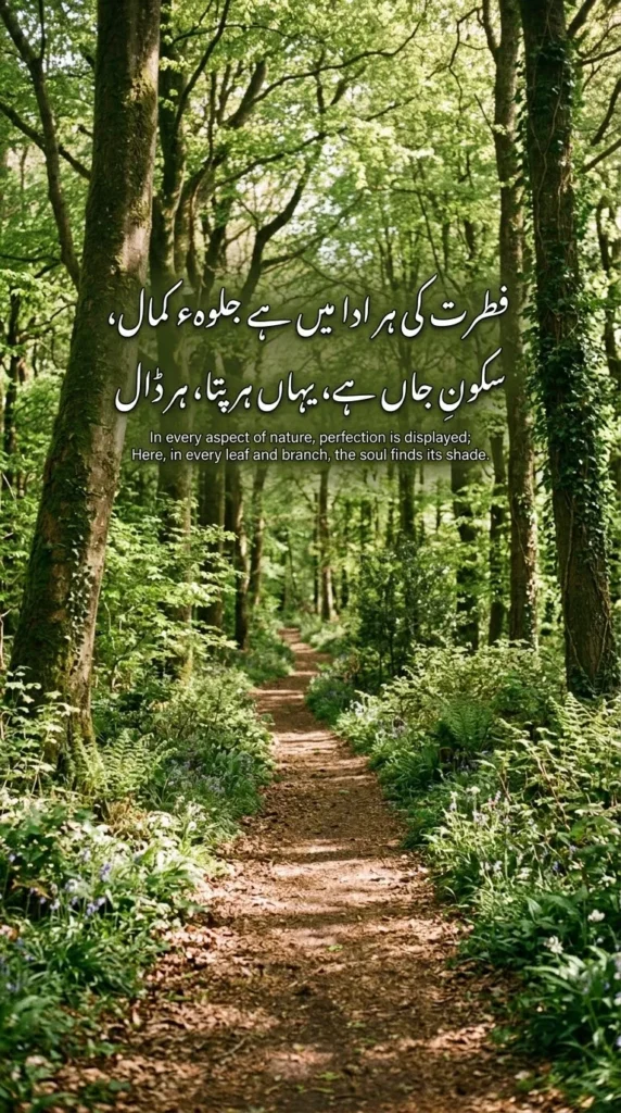 Nature Shayari with a sunlit green forest path and peaceful trees