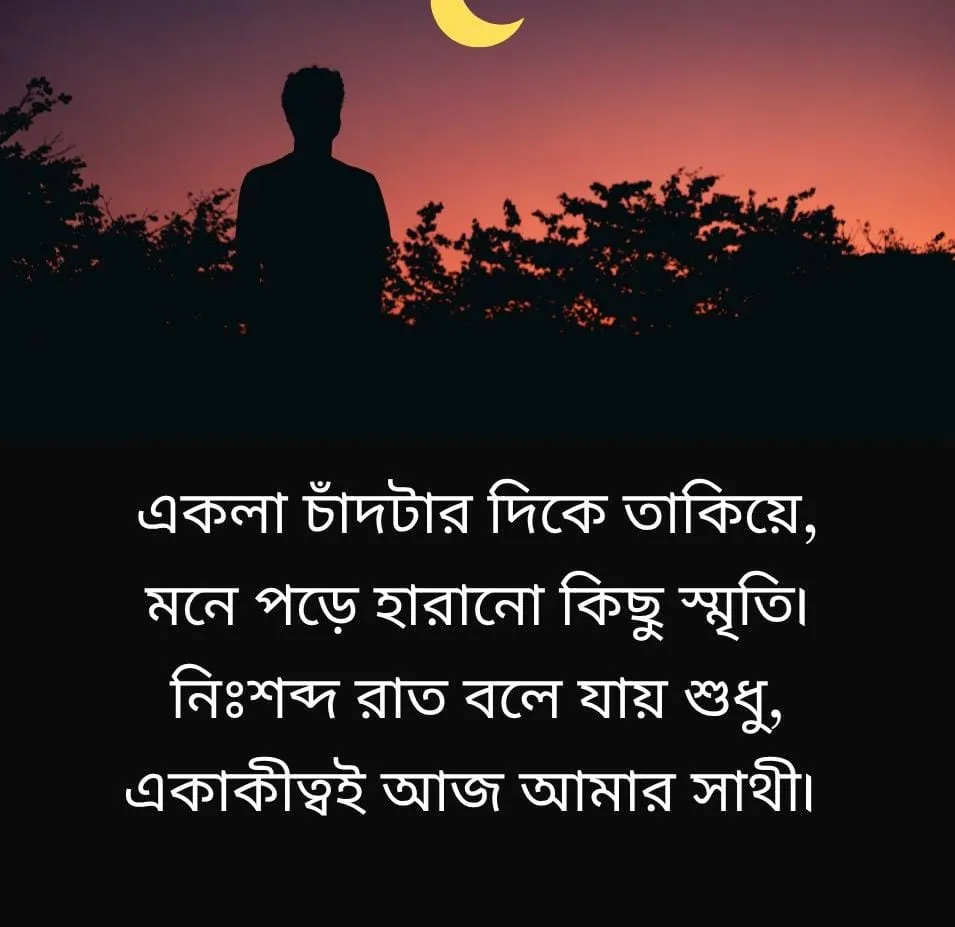 Sad Caption In Bengali for a solitary silhouette at sunset